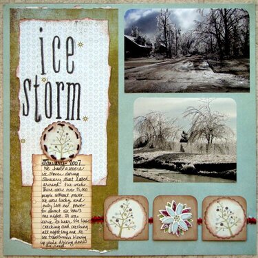 Ice Storm {2007} PAGE 1