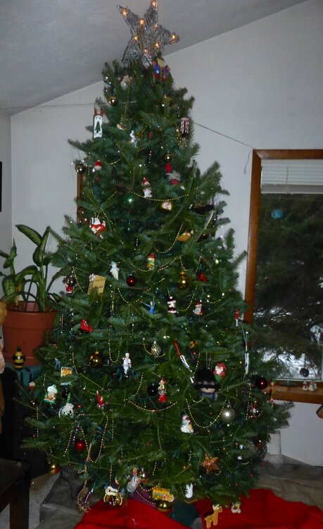 2012  Christmas tree