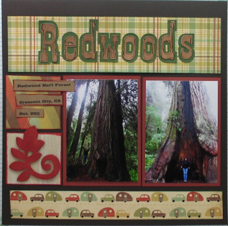 Redwoods left