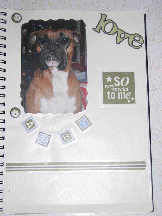 Boxer page