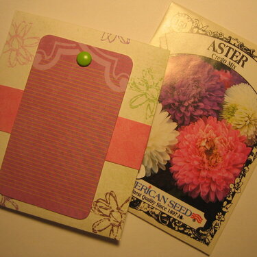 Card - Feel Better - Aster Seeds - Back &#039;08