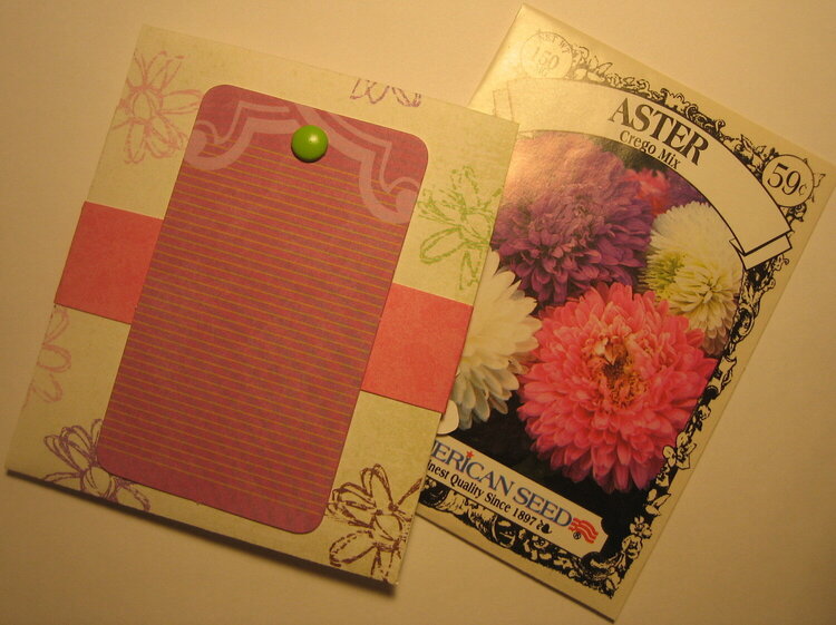 Card - Feel Better - Aster Seeds - Back &#039;08