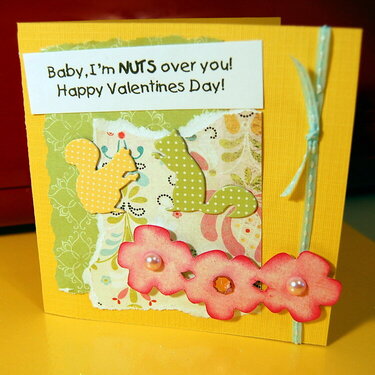 Nuts Valentine Card
