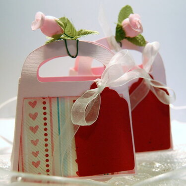 Valentines Favor Gift Bags