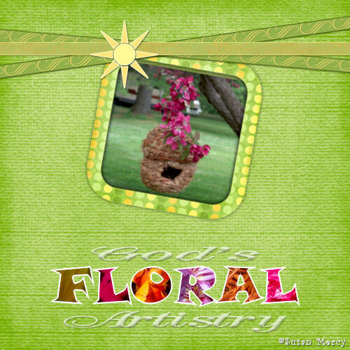 God&#039;s Floral Artistry