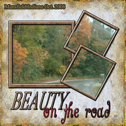 beauty on te road