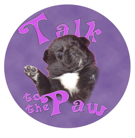 talk to the paw