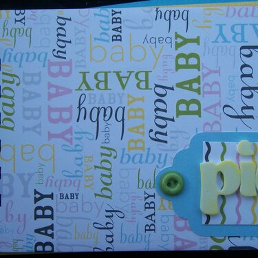 Baby Brag Book - Cover