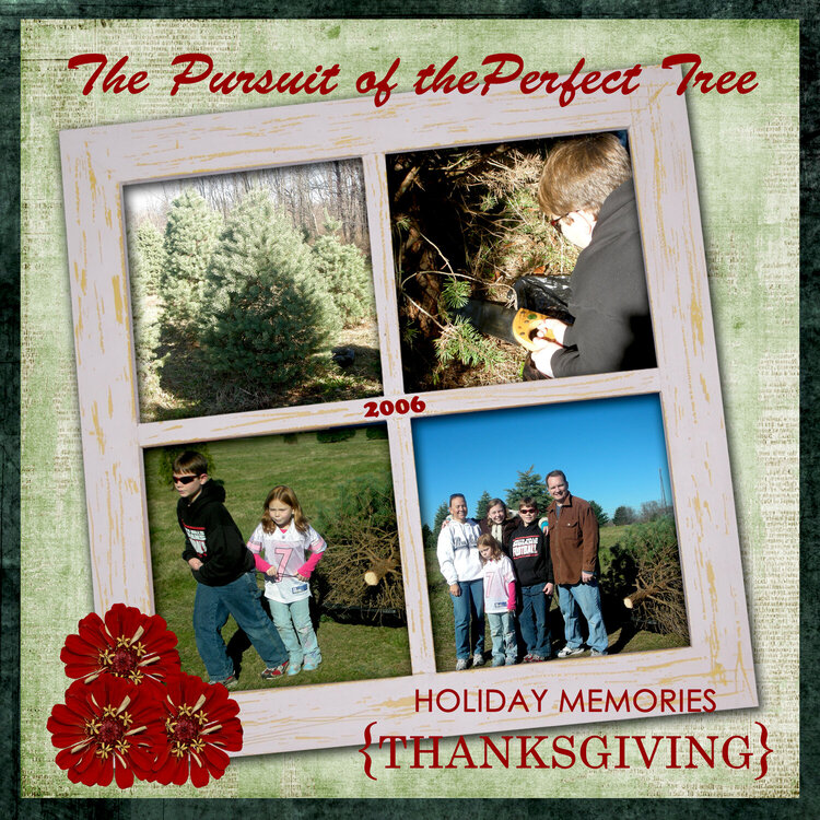 The Pursuit of the Perfect Tree