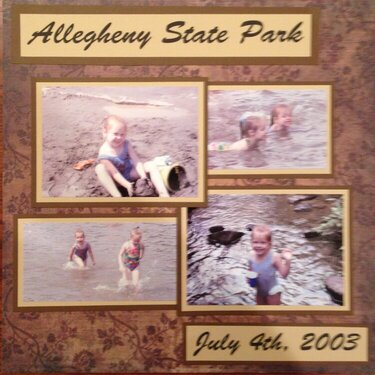 Allegheny State Park 4th of July