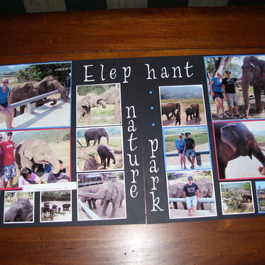 Thailand - Elephant Nature Park