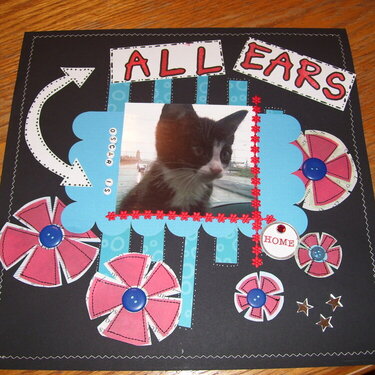 All Ears