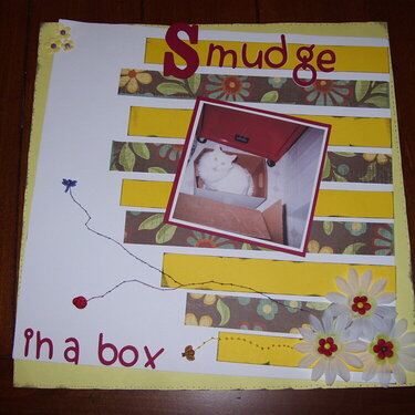 Smudge in a box