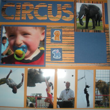 the Circus