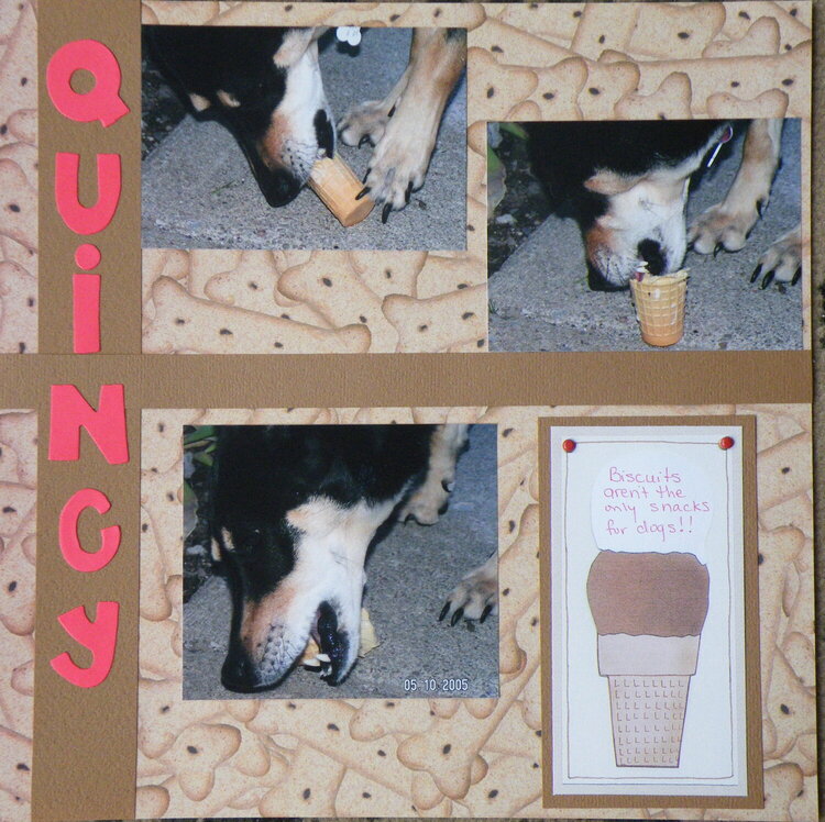 Quincy and the Ice Cream Cone