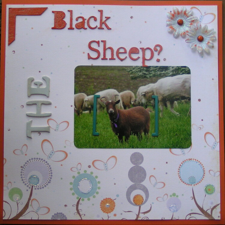 The Black Sheep?