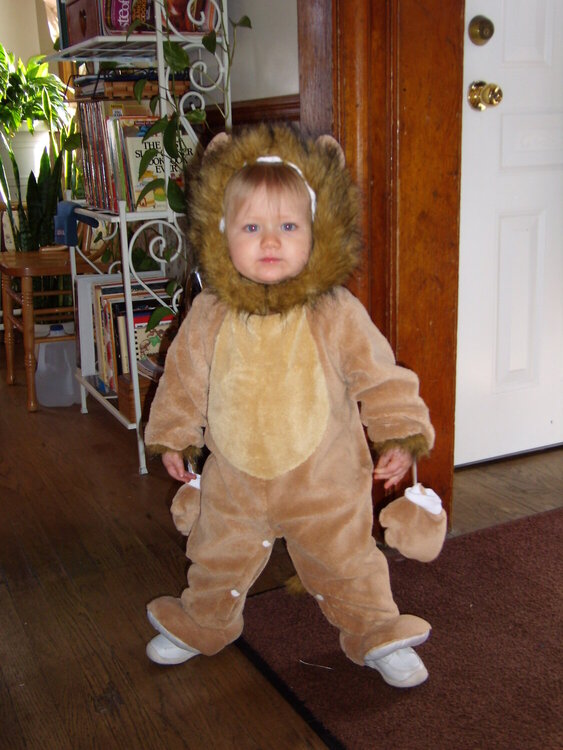 Mady the Lion Cub