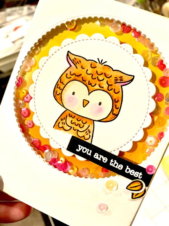 you are the best - Shaker Card