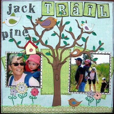 Jack Pine Trail