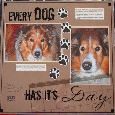 Every Dog Has It&#039;s Day