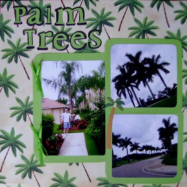 Palm Trees page1