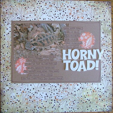 horny toad!
