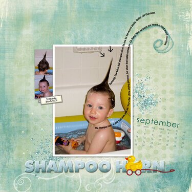 Shampoo Horn