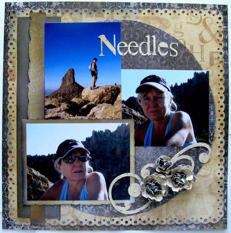 Needles