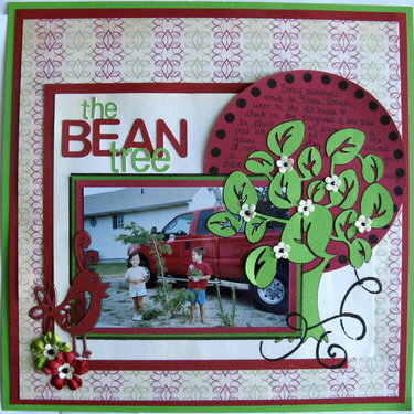 the bean tree