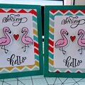 Flamingos
