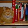 Butters, The Book End