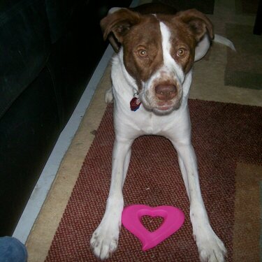 Happy Valentine&#039;s Day Sophie