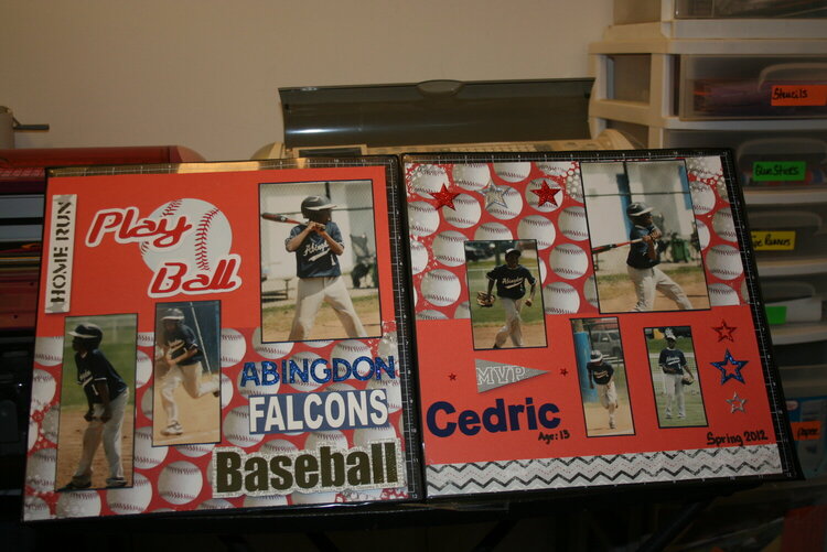 Falcons Travel Baseball 2012