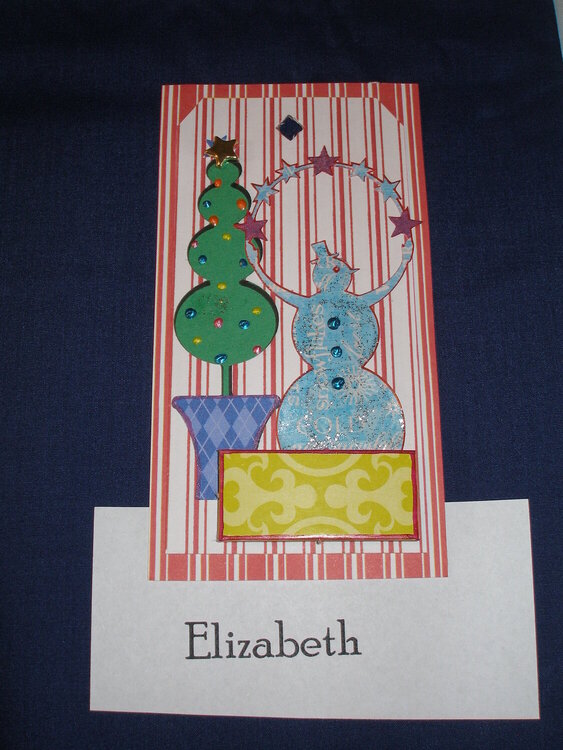 Elizabeth&#039;s Christmas Tag 2008