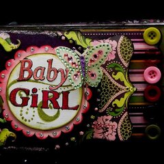 Baby Girl Mini Book