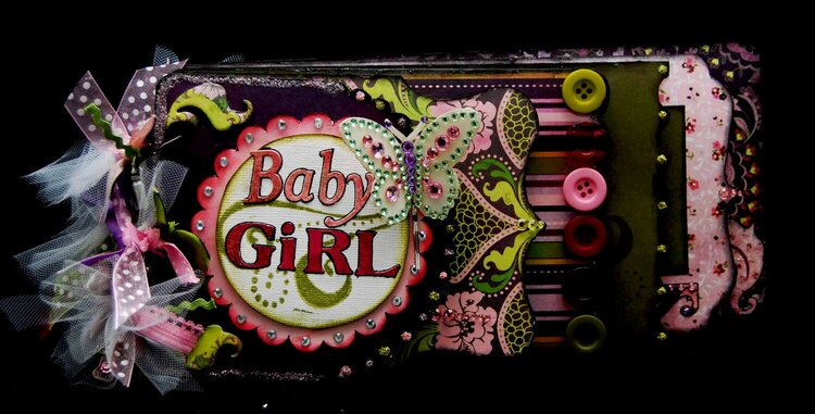 Baby Girl Mini Book