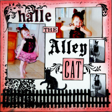 Halle the Alley Cat