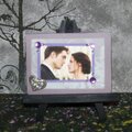 Breaking Dawn Part 1  ATC swap~Bella and Edward