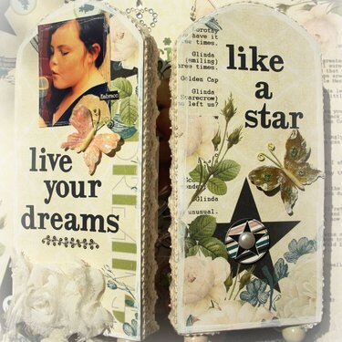 Live your dreams, like a star