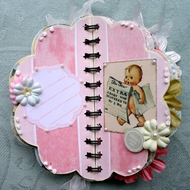 Mini Baby Book