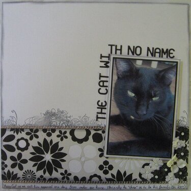 The Cat With No Name