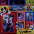 Goodbye Disneyland
