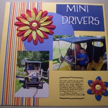 mini drivers