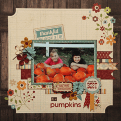 My Pumpkins