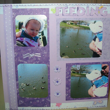 Feeding the Ducks (page 1)