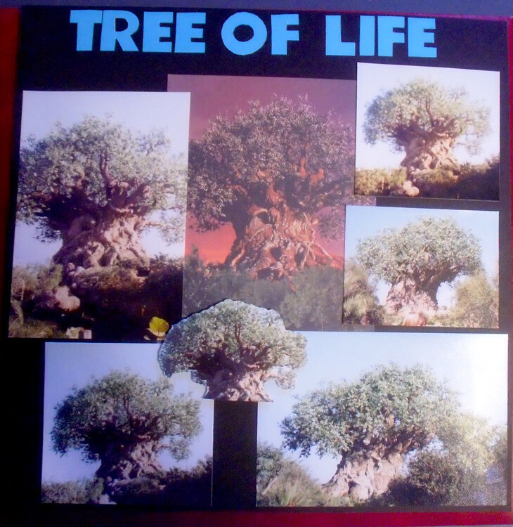 The Tree of Life