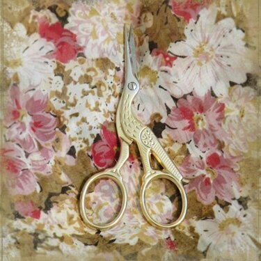 My Favourite Scissors :-)