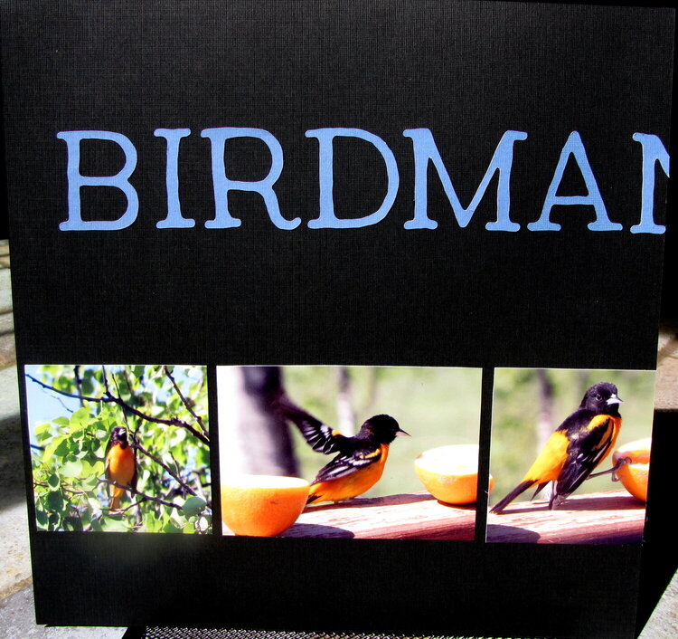Birdman page 1 of 2