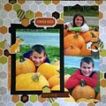 Pumpkin Patch