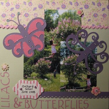 Lilacs &amp; Butterflies